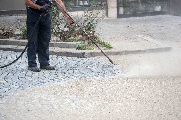 Best Gutter Cleaning  in Juneau, AK