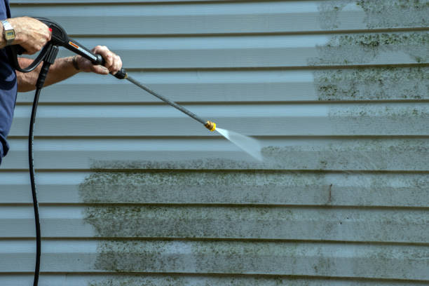 Best Spring Cleaning  in Juneau, AK